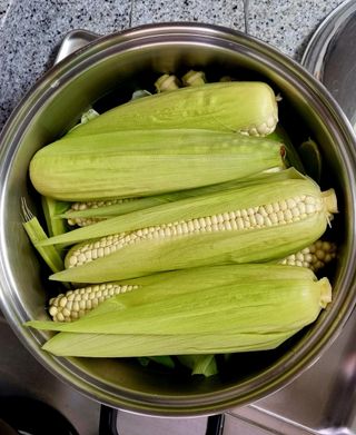 이경식님의 작성글 사진