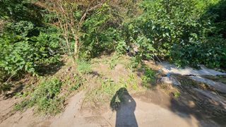 박정식님의 🌦 폭우 피해, 농민 분들 괜찮으신가요? 서로 위로의 말 나눠요 🤝 · 참여글 작성글 사진