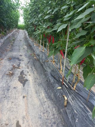알 수 없음님의 작성글 사진