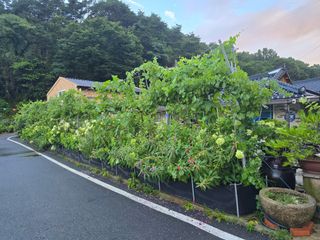 정광일님의 자유주제 · 자유게시판 작성글 사진