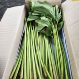 팜모닝 · 게시글 이미지