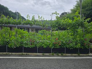 정광일님의 자유주제 · 자유게시판 작성글 사진