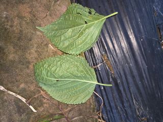 김정배님의 자유주제 · 자유게시판 작성글 사진