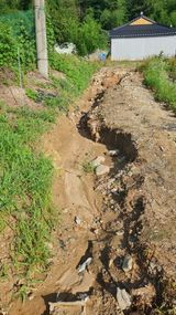 팜모닝 🌦 폭우 피해, 농민 분들 괜찮으신가요? 서로 위로의 말 나눠요 🤝·참여글 게시글 이미지