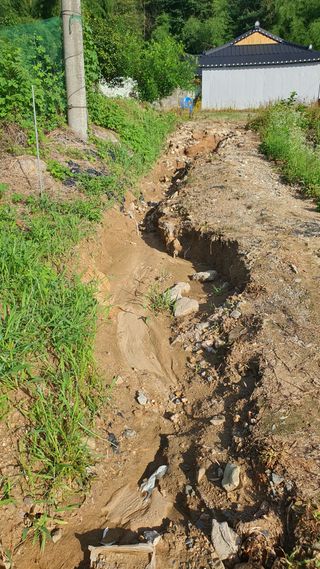 김효중님의 🌦 폭우 피해, 농민 분들 괜찮으신가요? 서로 위로의 말 나눠요 🤝 · 참여글 작성글 사진