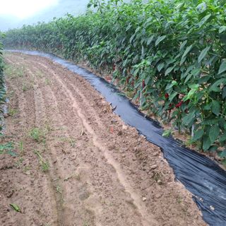 오영도님의 자유주제 · 자유게시판 작성글 사진