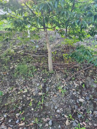 김용대님의 자유주제 · 자유게시판 작성글 사진