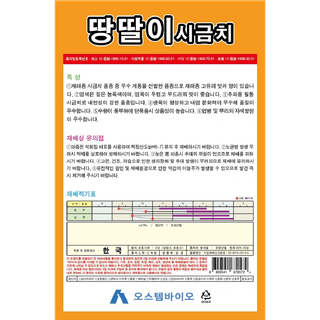 주주씨앗님의 작성글 사진