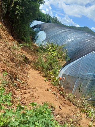 권혁태 님의 🌦 폭우 피해, 농민 분들 괜찮으신가요? 서로 위로의 말 나눠요 🤝 · 참여글 작성글 사진