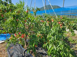이상목님의 작성글 사진