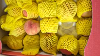 주화숙님의 작성글 사진