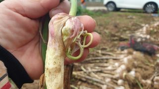 농부아내님의 작성글 사진