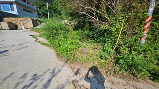 박정식님의 🌦 폭우 피해, 농민 분들 괜찮으신가요? 서로 위로의 말 나눠요 🤝 · 참여글 작성글 사진