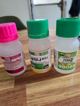 팜모닝 자유주제·자유게시판 게시글 이미지