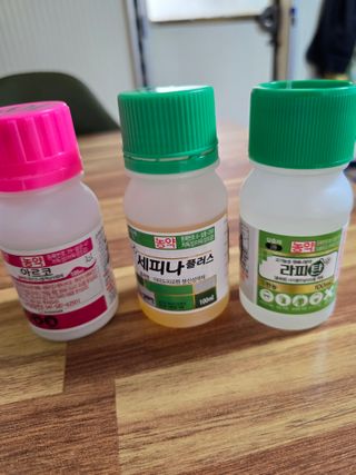 정명순님의 자유주제 · 자유게시판 작성글 사진