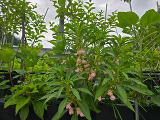 정광일님의 자유주제 · 자유게시판 작성글 사진