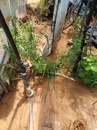권혁태 님의 🌦 폭우 피해, 농민 분들 괜찮으신가요? 서로 위로의 말 나눠요 🤝 · 참여글 작성글 사진