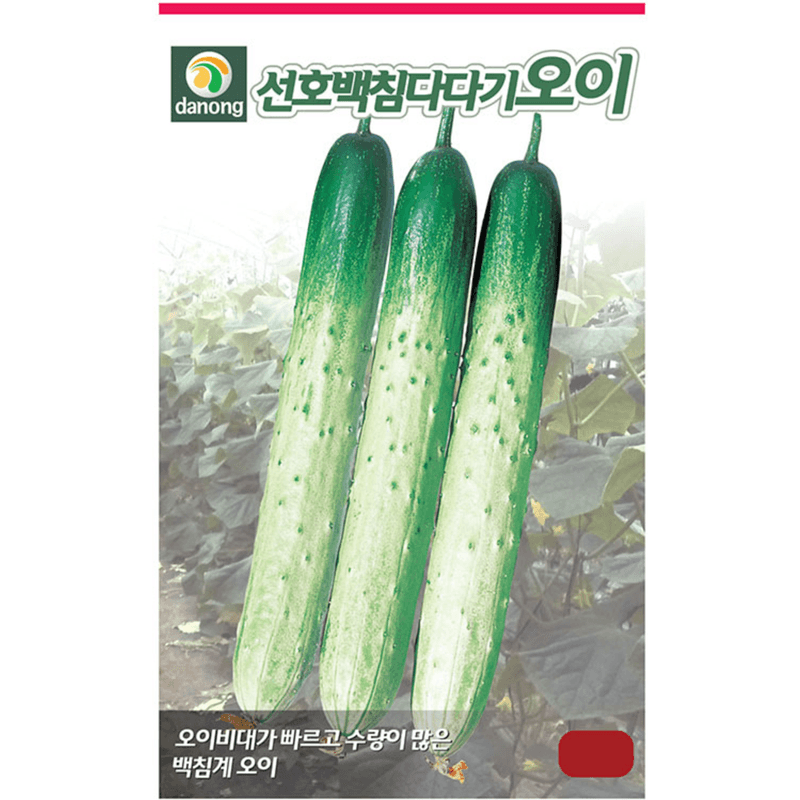 장터 상품 [[다농] 선호백침다다기 오이 50립 / 백침오이 씨] 썸네일