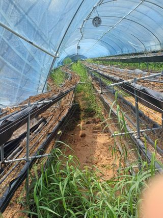 권혁태 님의 🌦 폭우 피해, 농민 분들 괜찮으신가요? 서로 위로의 말 나눠요 🤝 · 참여글 작성글 사진