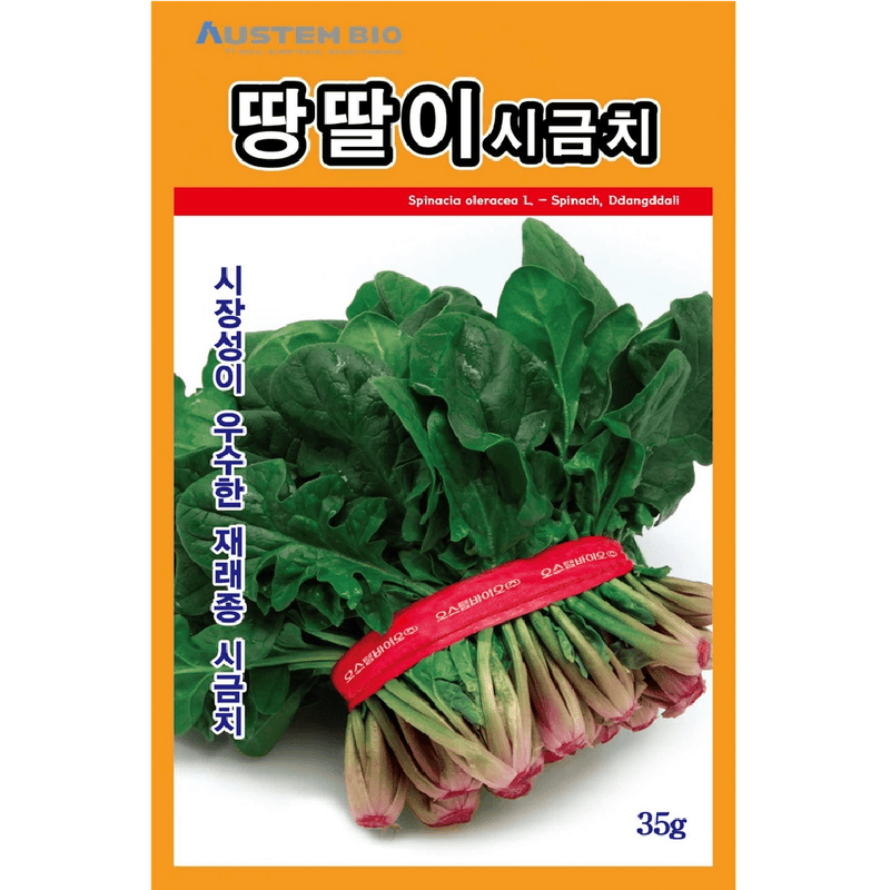 장터 상품 [[오스템] 땅딸이 시금치 35g / 재래종 월동 섬초 시금치 씨앗 ] 썸네일