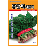팜모닝 · 게시글 이미지