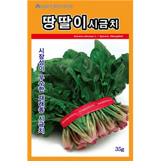 주주씨앗님의 작성글 사진