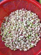 팜모닝 · 게시글 이미지