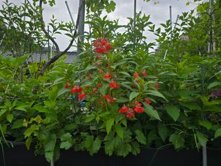 정광일님의 자유주제 · 자유게시판 작성글 사진