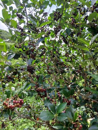 인생은 소풍처럼님의 자유주제 · 자유게시판 작성글 사진