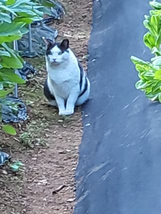 윤무섭님의 자유주제 · 자유게시판 작성글 사진