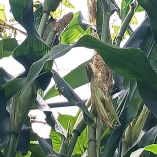 소농인님의 자유주제 · 자유게시판 작성글 사진