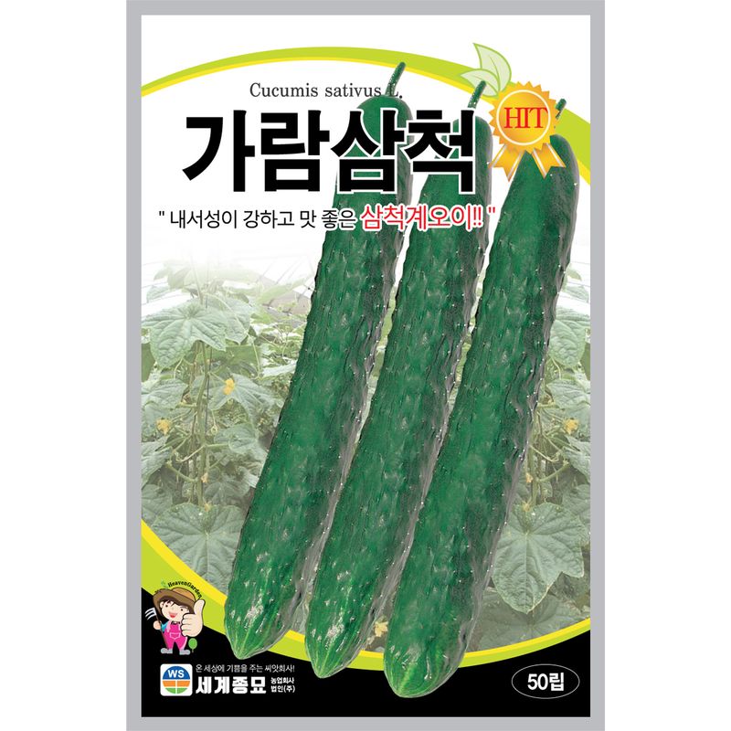 장터 상품 [[세계] 가람삼척 오이 50립 / 오이 씨앗] 썸네일