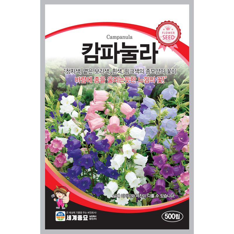 장터 상품 [[세계] 캄파눌라 500립 / 캄파눌라 씨앗] 썸네일