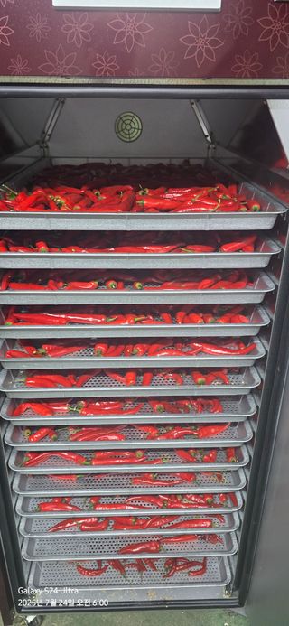 미우리님의 고추 · 영농일지 작성글 사진