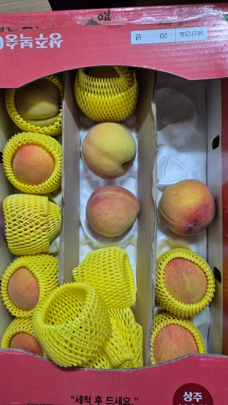 주화숙님의 작성글 사진