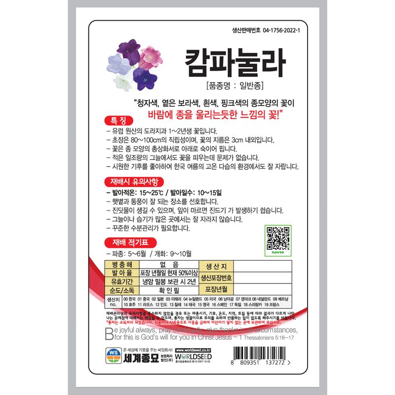 주주씨앗님의 장터 판매 상품 [[세계] 캄파눌라 500립 / 캄파눌라 씨앗] 첨부 사진