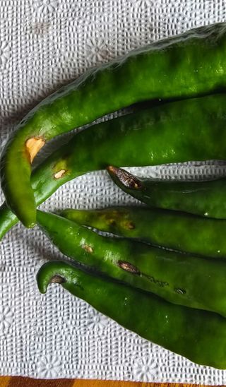 오회장님의 농사, 무엇이든 물어보세요! · 참여글 작성글 사진