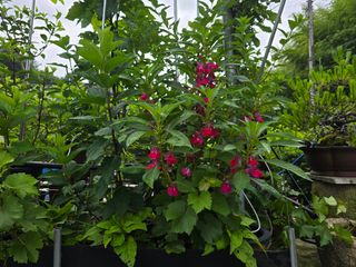 정광일님의 자유주제 · 자유게시판 작성글 사진