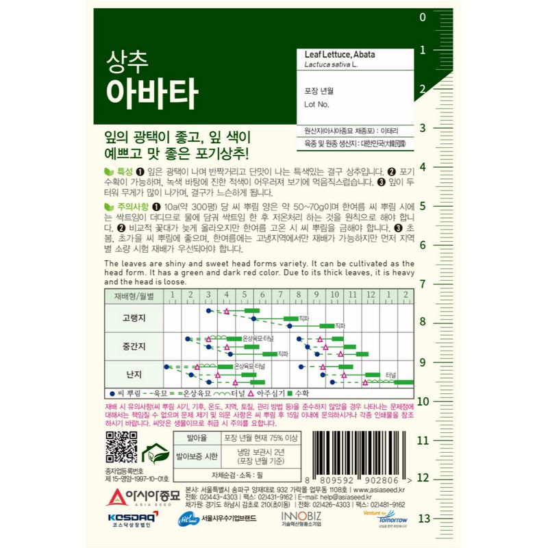 주주씨앗님의 장터 판매 상품 [[아시아] 아바타 상추 1000립 / 적자색 결구형 상추 씨앗] 첨부 사진