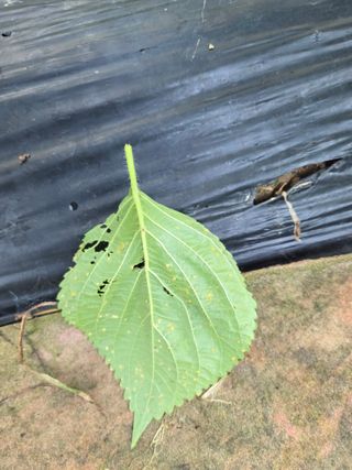 김정배님의 자유주제 · 자유게시판 작성글 사진