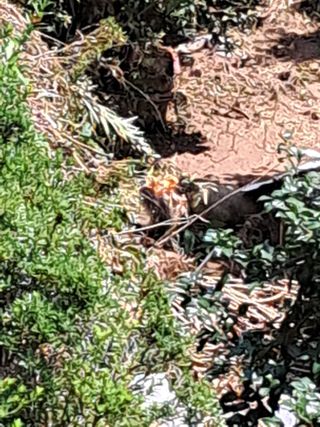 고산국토사랑풀뽑기님의 자유주제 · 자유게시판 작성글 사진