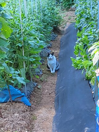 윤무섭님의 자유주제 · 자유게시판 작성글 사진