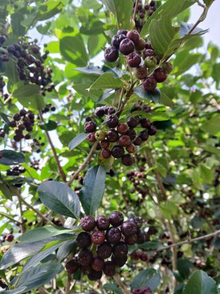 인생은 소풍처럼님의 자유주제 · 자유게시판 작성글 사진