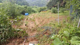 이강환님의 🌦 폭우 피해, 농민 분들 괜찮으신가요? 서로 위로의 말 나눠요 🤝 · 참여글 작성글 사진