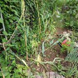 팜모닝 자유주제·자유게시판 게시글 이미지