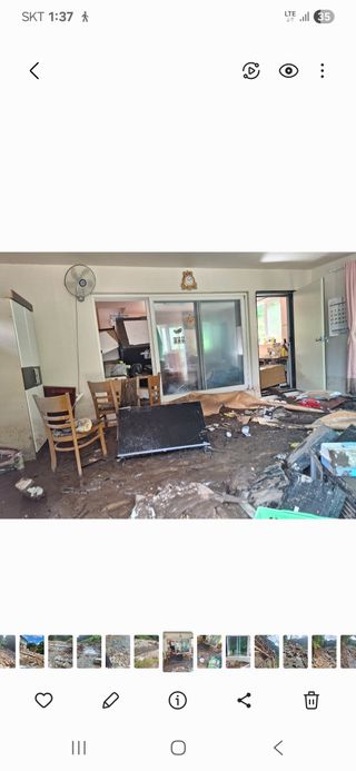 귀촌인정찬영님의 🌦 폭우 피해, 농민 분들 괜찮으신가요? 서로 위로의 말 나눠요 🤝 · 참여글 작성글 사진