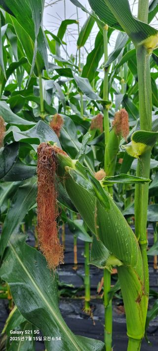 이경식님의 작성글 사진