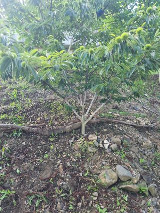 김용대님의 자유주제 · 자유게시판 작성글 사진