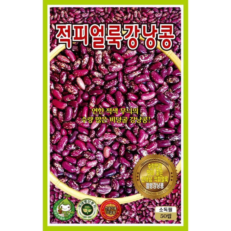 장터 상품 [[KS] 적피얼룩 비넝쿨성 강낭콩 30g / 강낭콩 씨앗] 썸네일