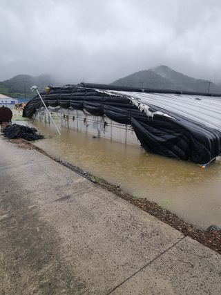 항상밝고희망차게님의 🌦 폭우 피해, 농민 분들 괜찮으신가요? 서로 위로의 말 나눠요 🤝 · 참여글 작성글 사진